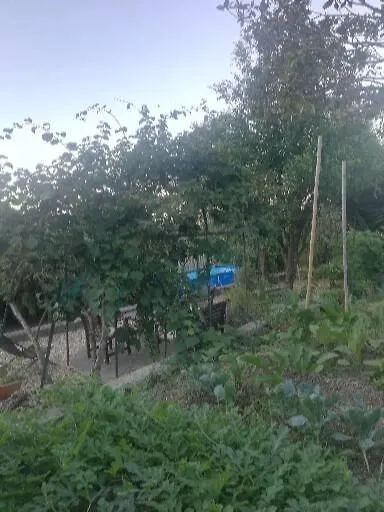 Hotel Ca' Clémentine à Sasso di Bordighera 0*,